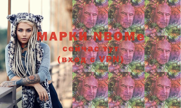 ECSTASY Белокуриха