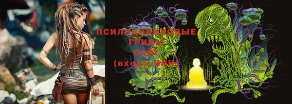 твердый Белоозёрский