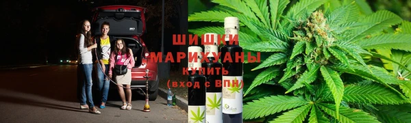 ECSTASY Белокуриха