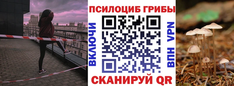 Галлюциногенные грибы MAGIC MUSHROOMS  как найти закладки  Воскресенск 